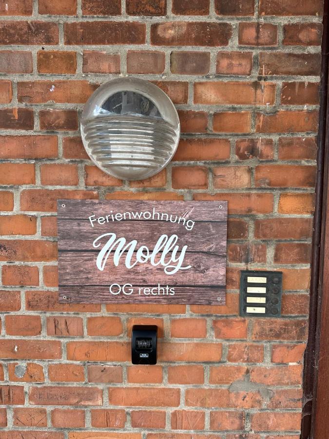 Ferienwohnung Molly Brunsbuttel Luaran gambar